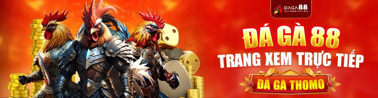Đá gà trực tuyến ava8888 trang chủ chính thức