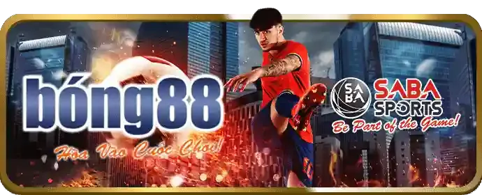 Bóng đá - môn thể thao vua tại ava8888